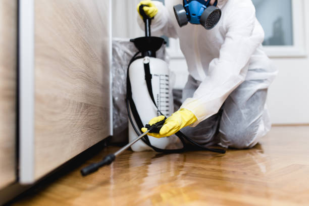 Best Best Pest Control Companies  in Fort Drum, NY