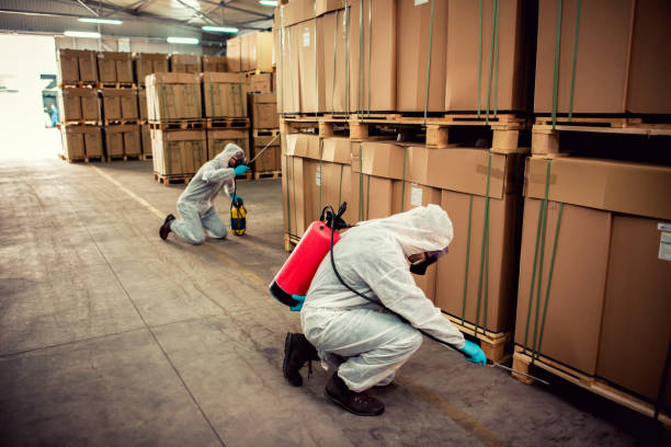 Bird Control in Fort Drum, NY