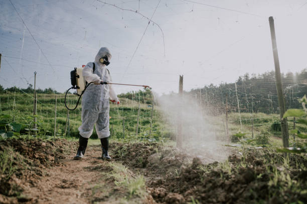 Best Mosquito Control Services  in Fort Drum, NY