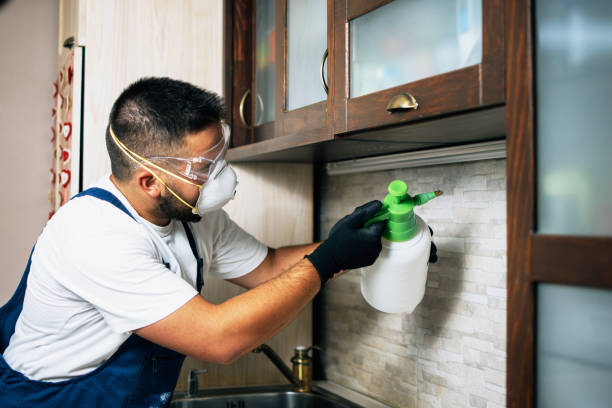 Best Exterminator Services  in Fort Drum, NY