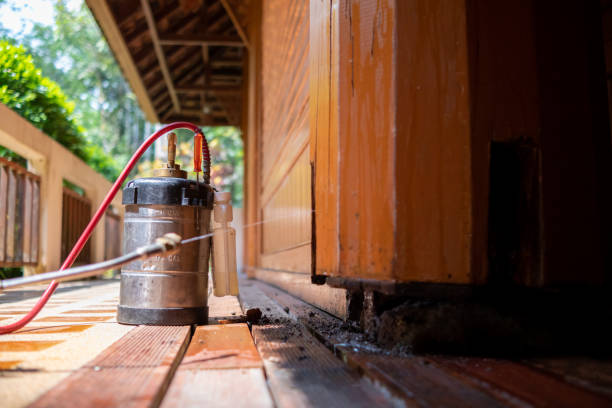 Best Rat Extermination Near Me  in Fort Drum, NY