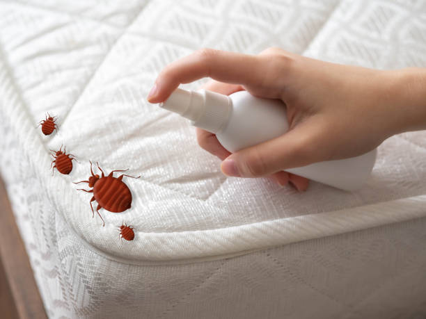 Best Affordable Pest Control Services  in Fort Drum, NY