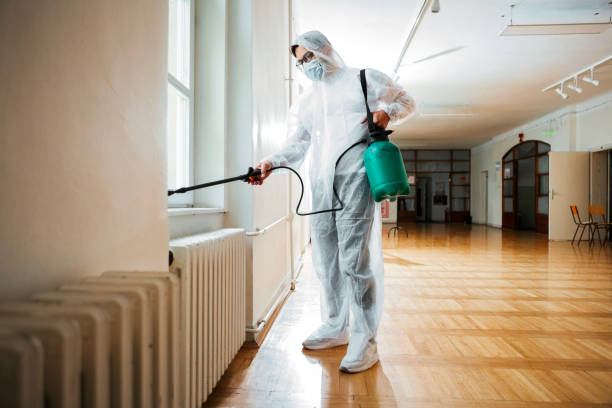 Pest Prevention Services in Fort Drum, NY