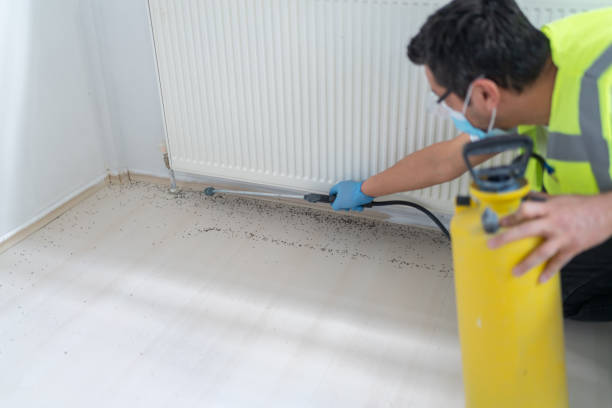 Best Affordable Pest Control Services  in Fort Drum, NY